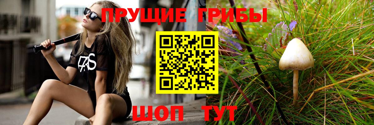 Бор  Псилоцибиновые грибы Psilocybine cubensis  Вход с VPN  Галлюциногенные грибы Magic Shrooms 