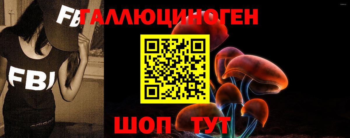 Псилоцибиновые грибы MAGIC MUSHROOMS Бор